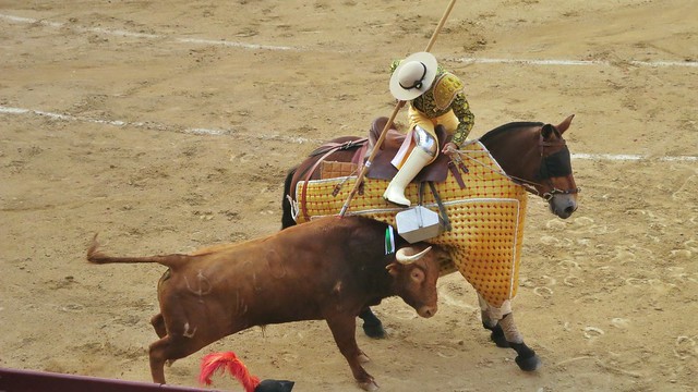 merlin the bullfighting horse