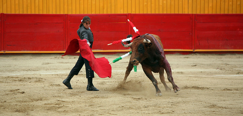Female Bullfighter