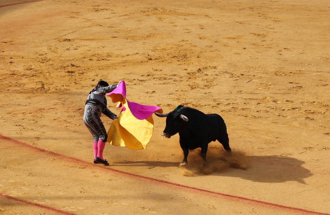 Why is bullfighting controversial? -