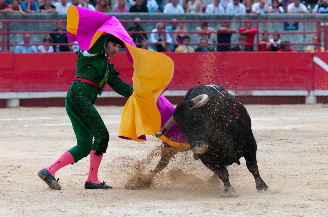 What is a bullfighter called?