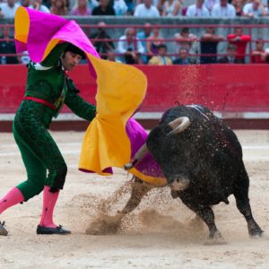 What is a bullfighter called?
