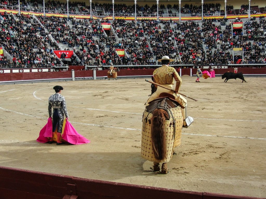 How Does Bullfighting Work?