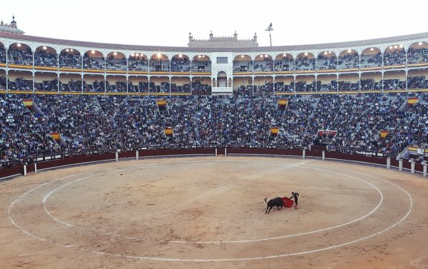 Is Bullfighting Still Legal in Spain? – Madrid Bullfighting Is Bullfighting Still Legal in Spain? – Madrid Bullfighting