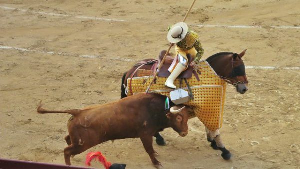 Merlin the Bullfighting Horse – Madrid Bullfighting