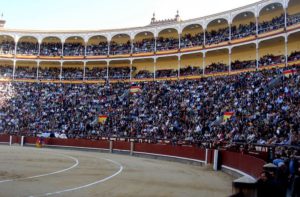 best-seat-bullfighting