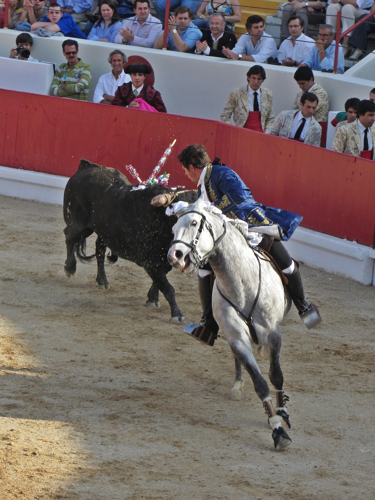 The role of the picador in Madrid bullfighting and why they use horses