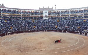 Budget-friendly bullfighting options in Madrid