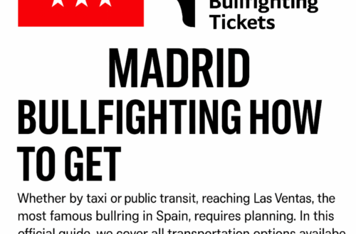 Madrid Bullfighting How to Get