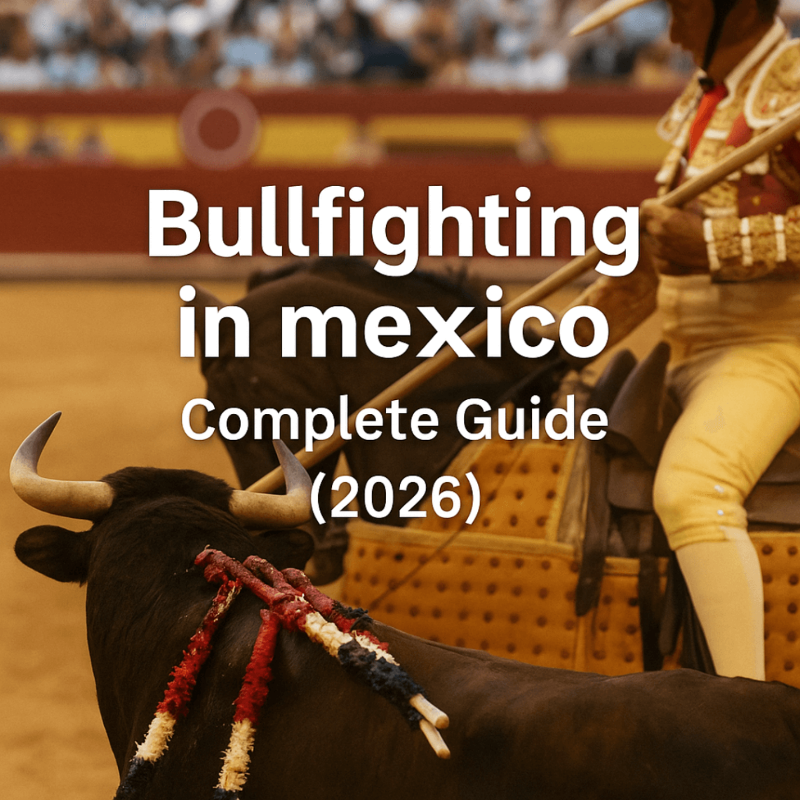 Bullfighting in Mexico – Complete Guide (2026)