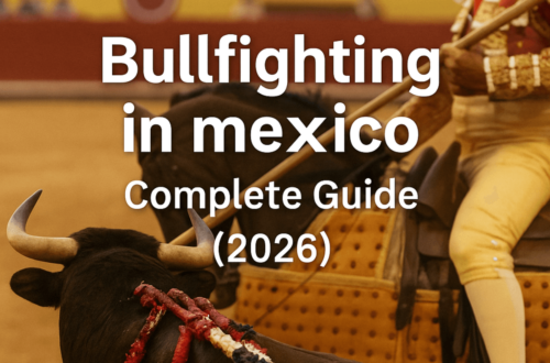 Bullfighting in Mexico – Complete Guide (2026)