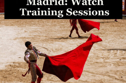Bullfighting Schools Madrid: Watch Training Sessions