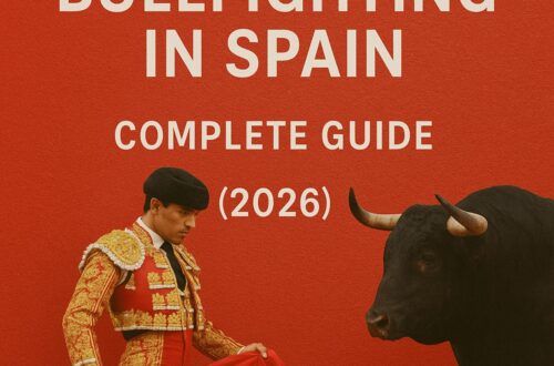 Bull fighting in spain – Complete Guide (2026)