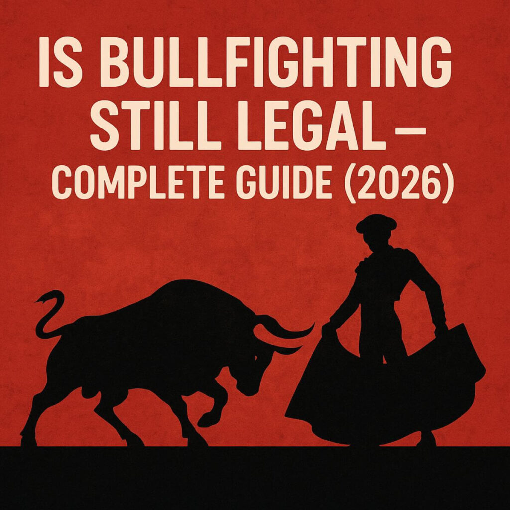 Is bullfighting still legal – Complete Guide (2026)