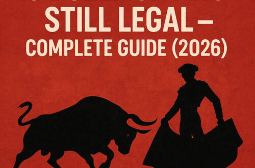 🇪🇸Is bullfighting still legal – Complete Guide (2026)