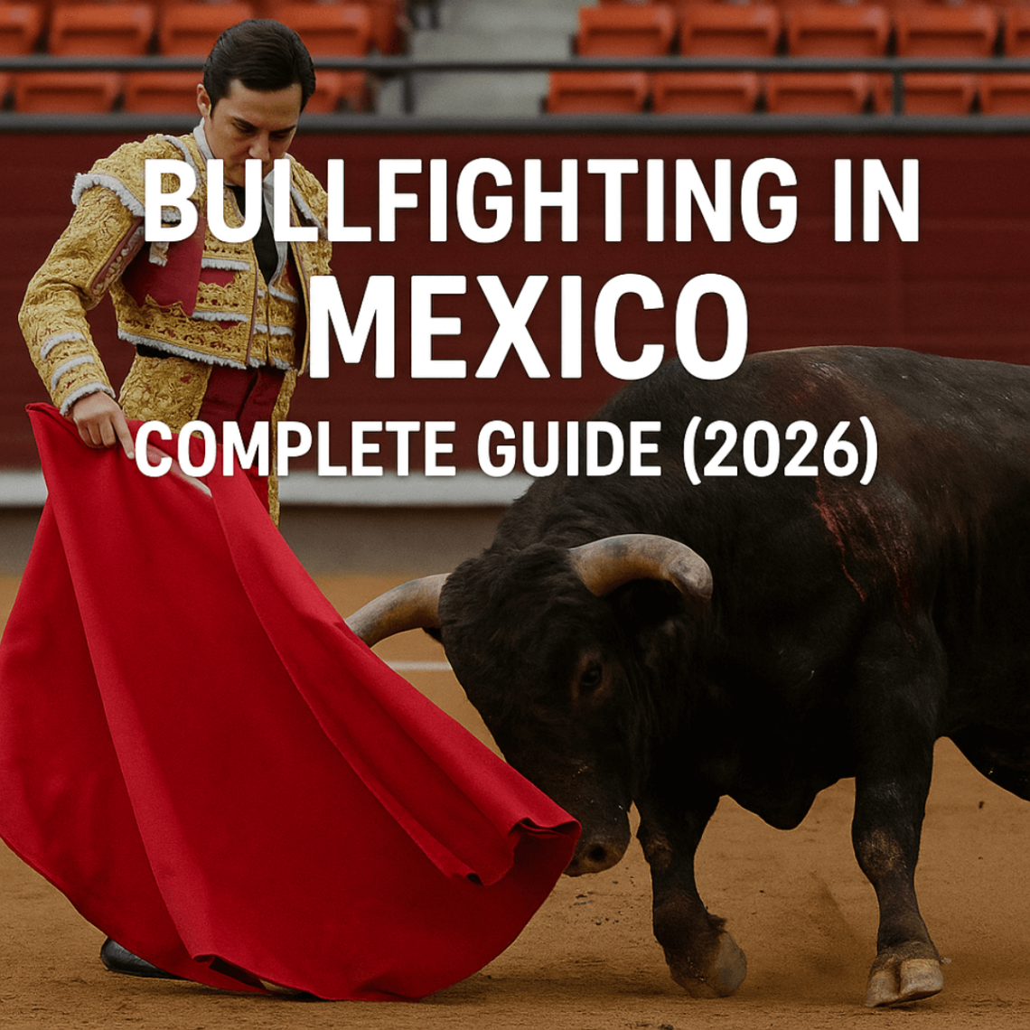 🏟️Bull fighting in Mexico – Complete Guide (2026)