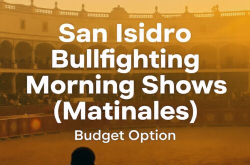 San Isidro Bullfighting Morning Shows (Matinales): Budget Option
