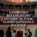 San Isidro Bullfighting Historical Tour: Guided Experience Package